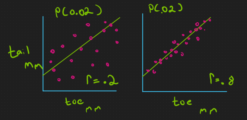 2 scatterplots are drawn each with a line of best fit. Bother are labeled with a p value of .02, with toe mm on the x axis. Tail mm on the y axis. The left graphs has an r value of .2 and the right has an r value of .8