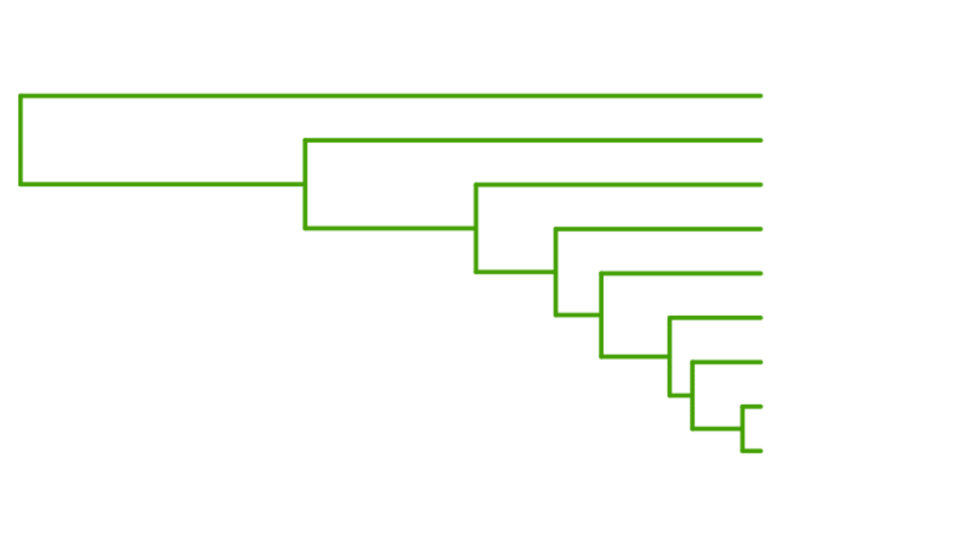 A phylogeny of mammals where all branches are highlighted in green