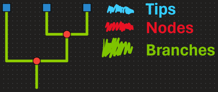 Phylogenetic Tree with color coded components. Text reads top to bottom, Tips, Nodes, Branches. The color of the text corresponds to the color on the phylogeny. Blue for tips, Red for nodes, and green for branches.