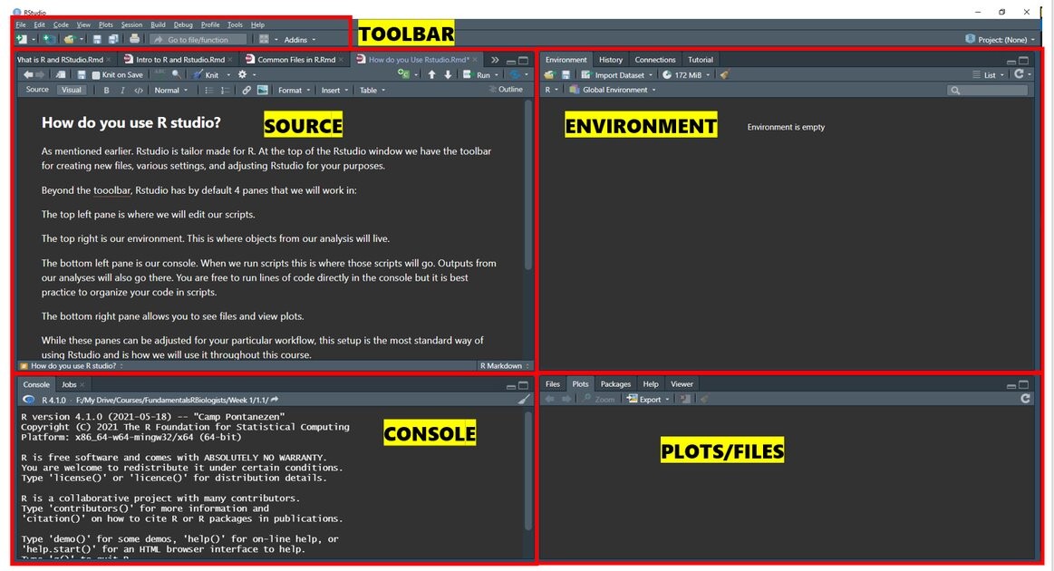 Image showing rstudio divded into the various panes. Labels are in yellow with black text. In the very top left is the toolbar, then the main area is divided into 4 panes. Top left: Source, Top Right: Environment, Bottom Right: Plots/Files, Bottom Left: Console