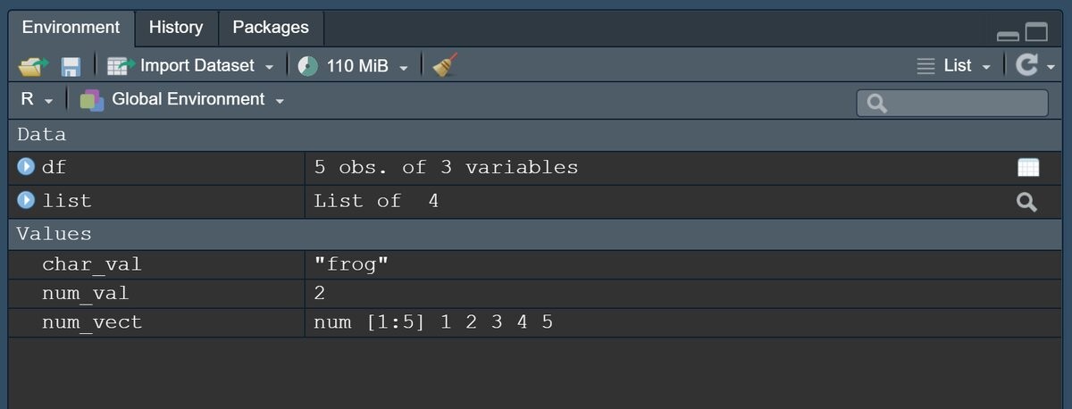 Screenshot of R environment pane. Objects can be found in the left hand column, while summary information is found in the right column. Various settings are available in the top toolbar. 