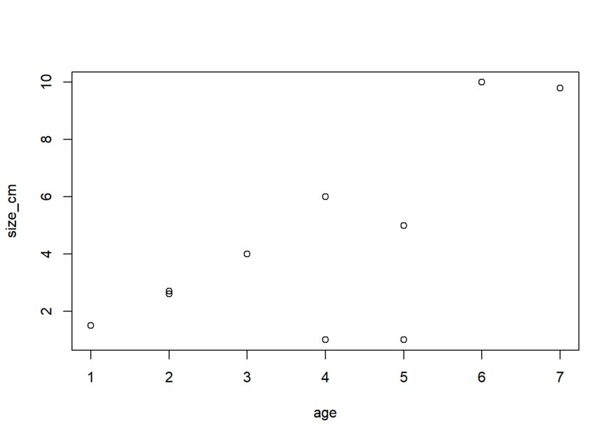Scatterplot with size_cm on the y axis and age on the x axis. X axis tick marks: 1,2,3,4,5,6,7. Size_cm tick marks: 2,4,6,8,10